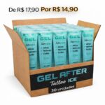 CAIXA MASTER GEL ICE 200GR – 30 UNIDADES - Imagem 0