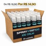 CAIXA MASTER SPRAY TATTOO ICE CALM SELADOR 120ML – 30 UNIDADES - Imagem 0