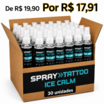 CAIXA MASTER SPRAY TATTOO ICE CALM SELADOR 120ML – 30 UNIDADES - Imagem 0